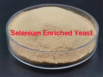 What Is Selenium Enriched Yeast?